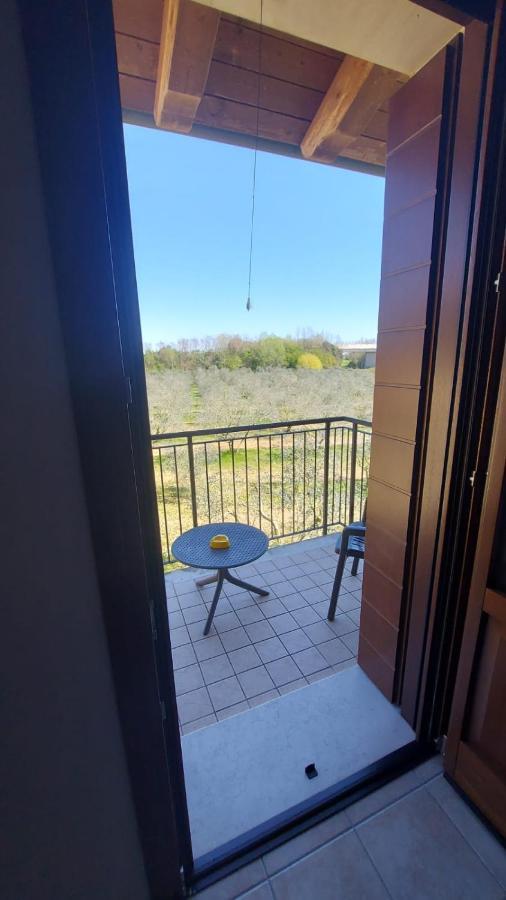 Agriturismo Olistella Palazzolo dello Stella Екстер'єр фото